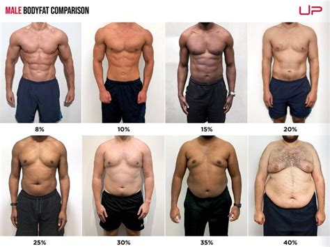 Body percentage fat pictures - Jul 17, 2019 ... Some of those photo arrays were designed to see whether women preferred men with healthy body-fat percentages, and they did: In this photo array ...